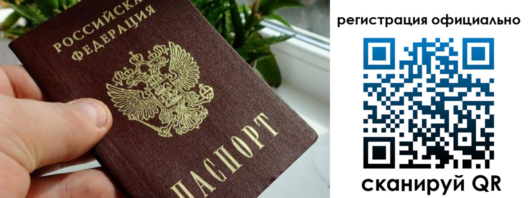 прописка законно в Ангарске